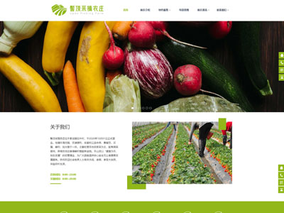 农庄网站建设-农业绿色采摘网站制作-模板案例