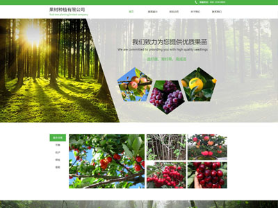 园林绿化公司网站建设-果树苗圃网站建设案例