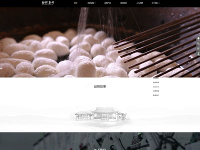 ​服装网站建设方案-纺织企业网站设计案例