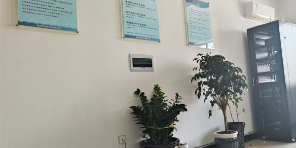 专业网络公司.jpg
